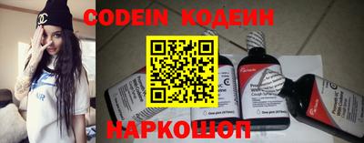 герыч Кингисепп