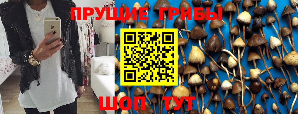 цена   Галлюциногенные грибы GOLDEN TEACHER  Вход с VPN  Кстово 