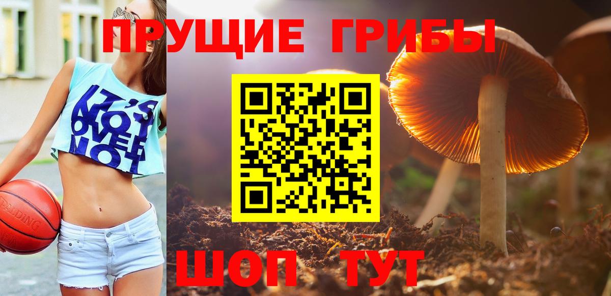 Галлюциногенные грибы ЛСД Кстово
